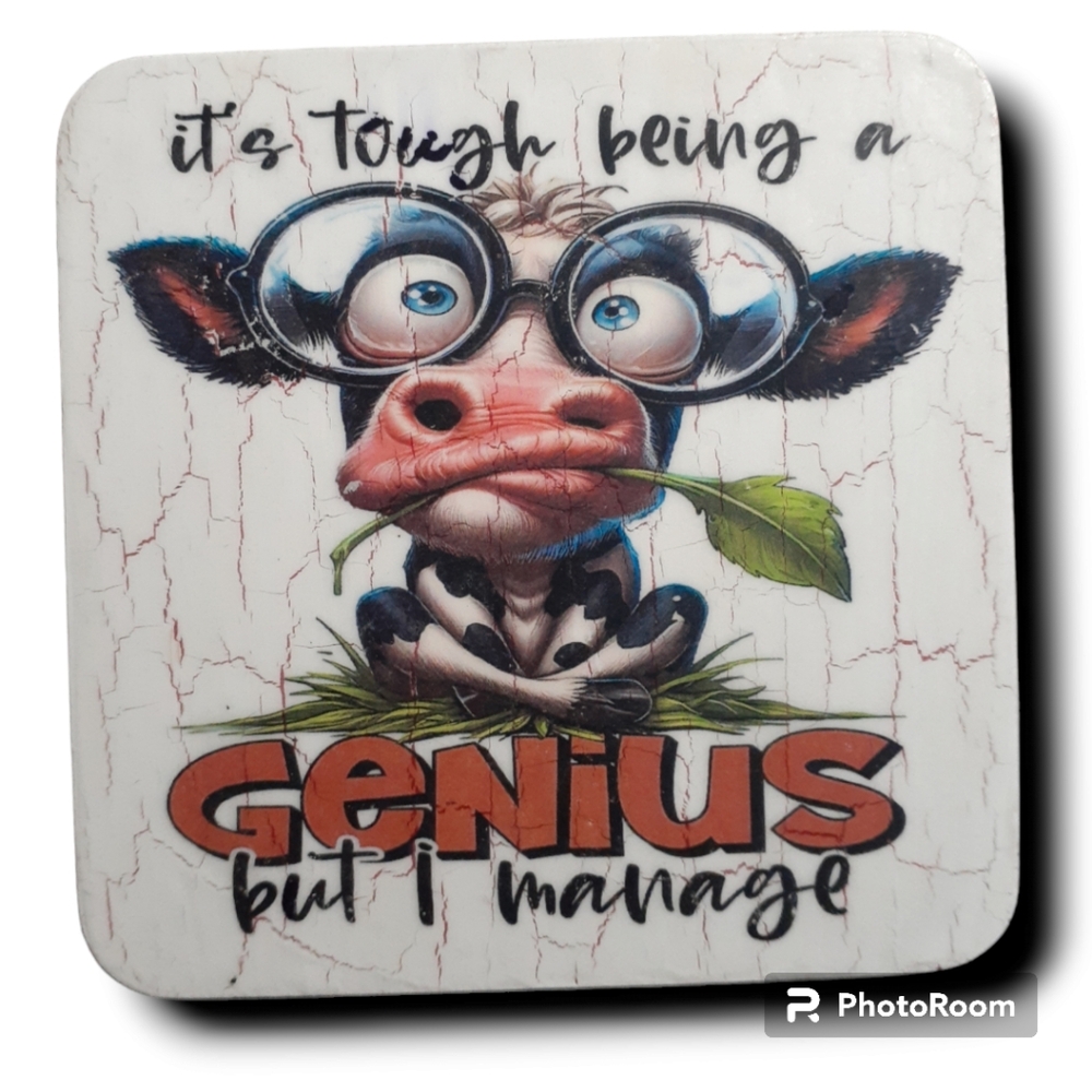 WOODEN SOUVENIRS SARCASTIC FUNNY COD/ALOVA/226